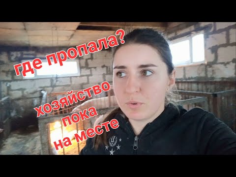 Видео: Обзор хозяйства 2022, продаем телку и бычка 🐮