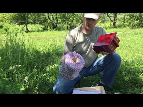 Видео: Купил электропастуха.