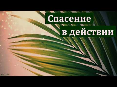 Видео: "Спасение в действии". А. Л. Калинин. МСЦ ЕХБ