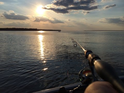Видео: Рыбалка на судака. Осенний Днепр Сухолучье
