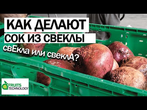 Видео: Как делают сок из свеклы