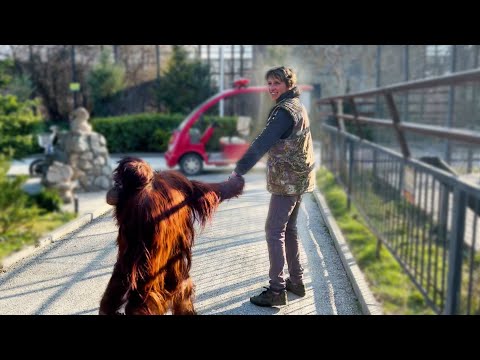 Видео: В память о Леокадии. Ляля заменила Даночке маму... как и многим малышам в парке. Она жила ими 💔