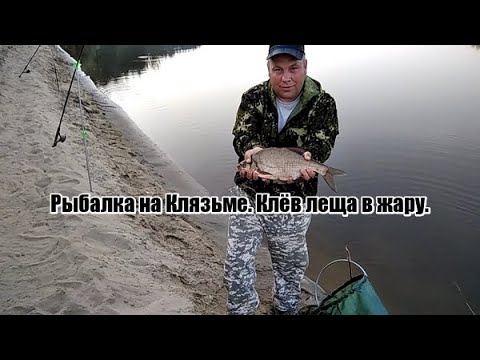 Видео: Рыбалка на реке Клязьма. Ловля леща на фидер в жару.