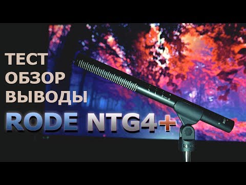 Видео: RODE NTG4/ПРОДАЛ И ЗАБЫЛ