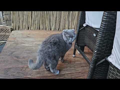 Видео: Испугался грома / Реакция на папу