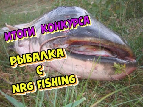 Видео: РЫБАЛКА с  NRG FISHING, сом на квок. ✅👉 ИТОГИ КОНКУРСА!!!