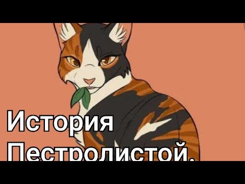 Видео: История Пестролистой/Коты-воители