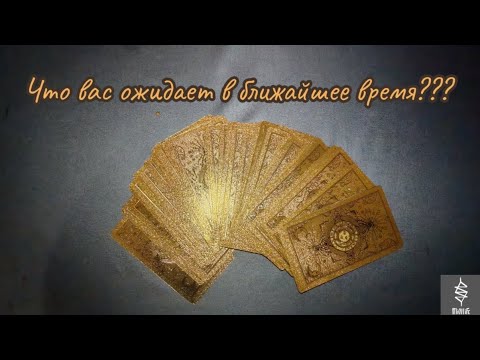 Видео: ЧТО ВАС ОЖИДАЕТ В БЛИЖАЙШЕЕ ВРЕМЯ? taro #таролог #кармолог #ведающая #ясновидящая  #ясночувствование