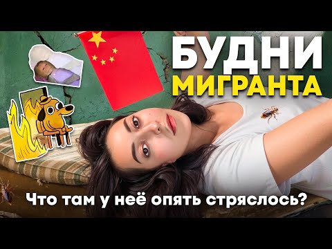 Видео: ЖИЗНЬ ИНОСТРАННОГО СТУДЕНТА: КАК Я ВЕСЬ СЕНТЯБРЬ ПАНИКОВАЛА И НЕРВНИЧАЛА