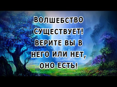 Видео: "Волшебный серый мир". Евгений Чеширко.
