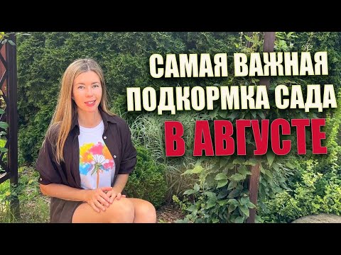 Видео: Это важно сделать в августе! Чем подкормить деревья и кустарники сейчас