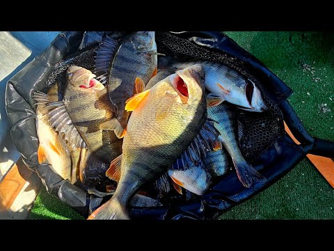 Видео: Страхотно откриване на сезона ! Зимен риболов от лодка в компанията на Бат Мариян.