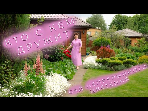 Видео: Кто с кем дружит I Сад непрерывного цветения