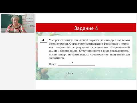 Видео: ЕГЭ и ОГЭ по биологии 2025 года: обзор демоверсий, методические рекомендации