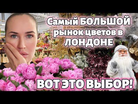 Видео: Секретный шоппипг Лондона: ГДЕ выгодно покупать цветы? Рынок New Covent Garden