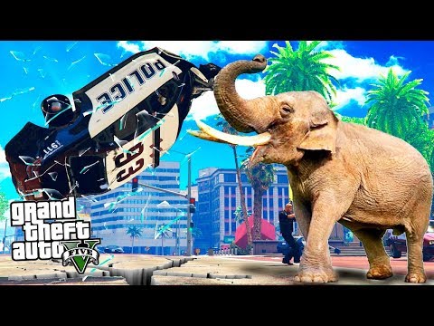 Видео: ОГРОМНЫЙ СЛОН ИЗ ЦИРКА КРУШИТ ЛОС САНТОС В ПОИСКАХ СЕМЬИ 🐘 GTA 5 ЖИЗНЬ ЖИВОТНЫХ (ГТА 5 МОДЫ)
