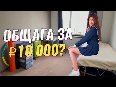 Видео: Общага в Японии за 10 000 рублей