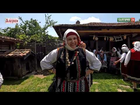 Видео: НАЙ-ДОБРАТА ВЕСЕЛБА Е С ПЕСНИ И СВИРНЯ!!!