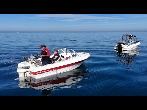 Видео: Браконьеры нападают на оснастки Риди для ловли горячего люциана