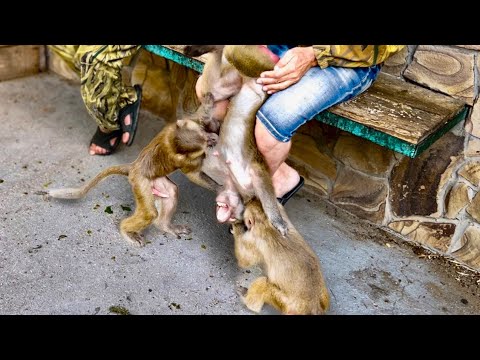 Видео: Тося добивается внимания и даже пытается СТАСКИВАТЬ Люсю с папы, чтобы она ОБРАТИЛА НА НЕЕ ВНИМАНИЕ!