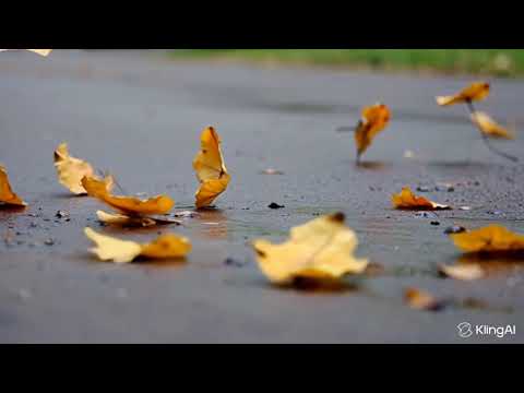 Видео: Песня "Листья падают". Осень.