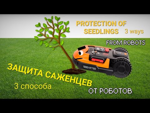 Видео: Защита саженца от робота-косилки: 3 способа