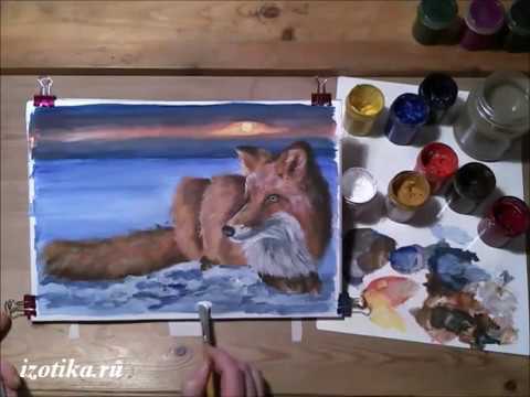 Видео: Рисуем лису гуашью