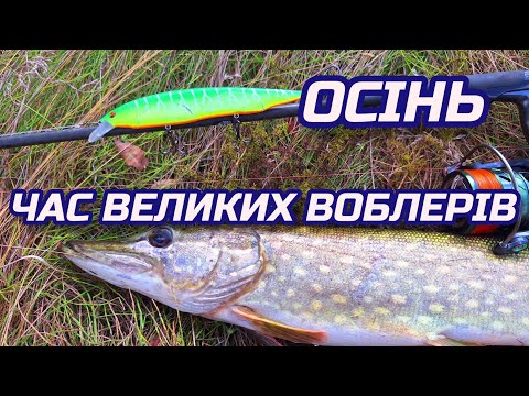 Видео: ОСІНЬ, ЧАС ВЕЛИКИХ ВОБЛЕРІВ!!!