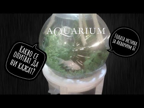 Видео: Аквариум БГ СБЪРКАХА | Как реално се гледа Бета