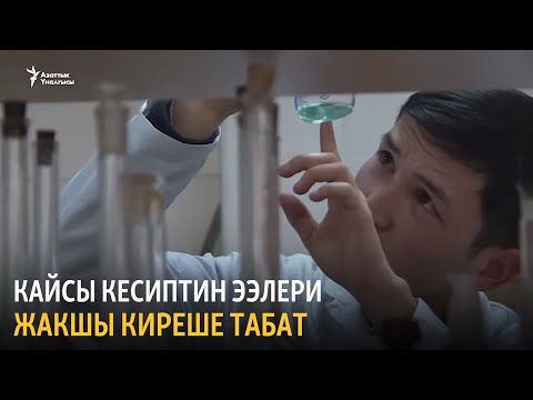 Видео: Кайсы кесиптин ээлерине талап көп