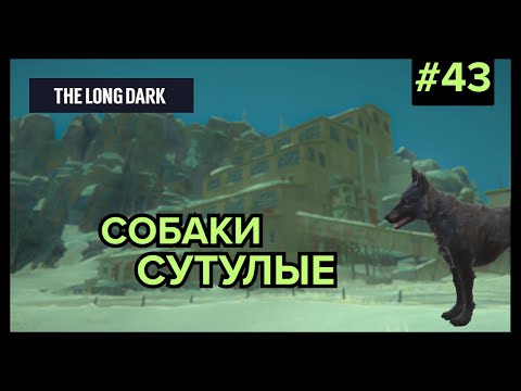 Видео: Лабиринт в зеленых тонах | The Long Dark (Незваный гость) #43