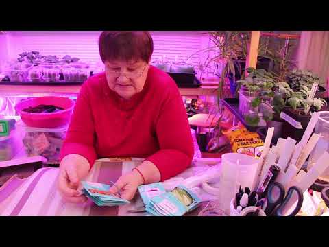 Видео: ТАКОГО ВЫ ЕЩЕ НЕ ВИДЕЛИ! САМЫЙ ПОДРОБНЫЙ ОБЗОР СЕМЯН 06.02.20