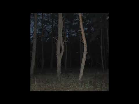 Видео: Бонд с кнопкой-Кухни(slowed+reverb)