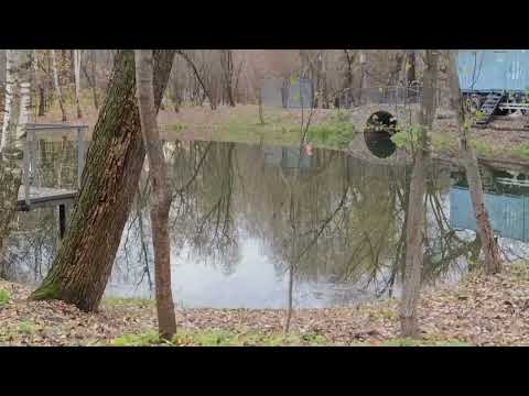 Видео: Парк Покровское-Стрешнево. Москва. 
