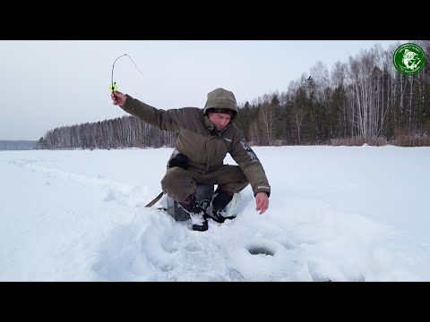 Видео: БЕЛОЯРКА, ОКУНЬ ШАРАШИТ В ЭТОМ МЕСТЕ НА ВСЁ! ПОДКОРМИЛ И ПОНЕСЛАСЬ ПОКЛЁВКА, ЗА ПОКЛЁВКОЙ, УРАЛ!