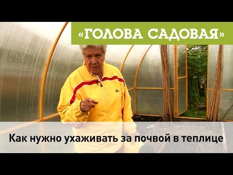 Видео: Голова садовая - Как нужно ухаживать за почвой в теплице