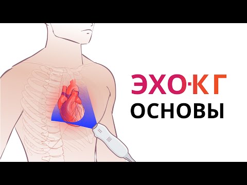 Видео: ЭХО-КГ. Основы УЗИ сердца. Подготовка и основные доступы: парастернальный, субкостальный, апикальный