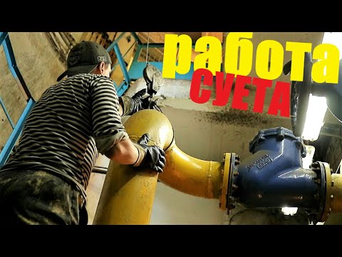 Видео: работа и всякая суета видеосалат