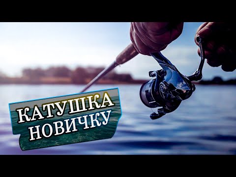 Видео: КАКУЮ КАТУШКУ ВЫБРАТЬ НА СПИННИНГ НОВИЧКУ? КАК найти ТУ САМУЮ? Какую КУПИТЬ? На ЧТО смотреть? РЫБА!