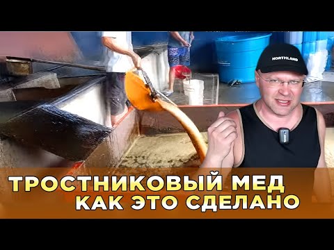 Видео: Тростниковый мед. Как это сделано.