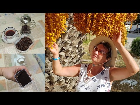 Видео: Диабет. Кофе ☕ из косточек 🌴 фиников. Простой рецепт вкусного и целебного кофе без кофеина (coffee).