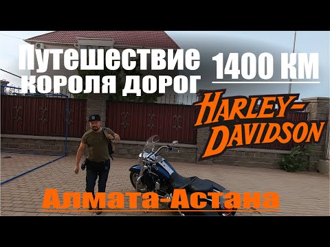 Видео: Путешествие в 1390 км из Алматы в Астану на Harley Davidson Road King