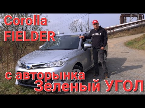 Видео: Corolla Fielder с авторынка Зеленый Угол. В чем причина популярности? Полный обзор.