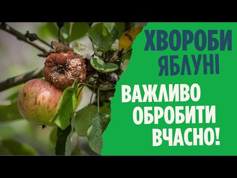 Видео: Весняна обробка яблуні від хвороб
