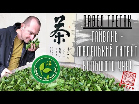 Видео: Павел Третяк на базе "Формоза" - Тайвань /Лао, ГАБА и пуэр/ чайный эксклюзив/ удовольствие и бизнес!