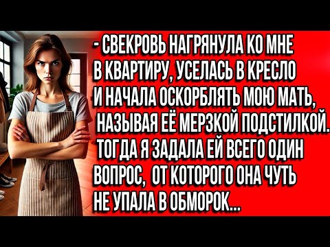 Видео: Свекровь нагрянула ко мне в квартиру, уселась в кресло и начала оскорблять мою мать, называя её...