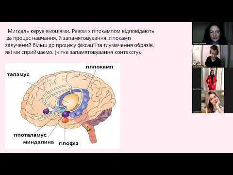 Видео: Стрес. як з ним жити?