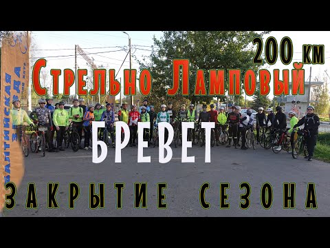 Видео: БРЕВЕТ СТРЕЛЬНО ЛАМПОВЫЙ 200 │27.09.2025