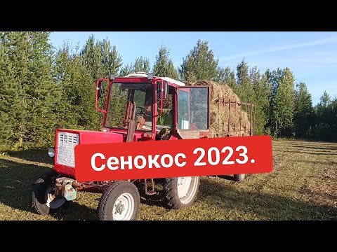 Видео: Сенокос 2023.