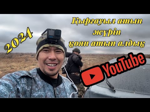 Видео: Қырғауылға аңшылық, охота на фазана 2024. #охота #hunting #фазан #қырғауыл #аңшылық #2024shorts